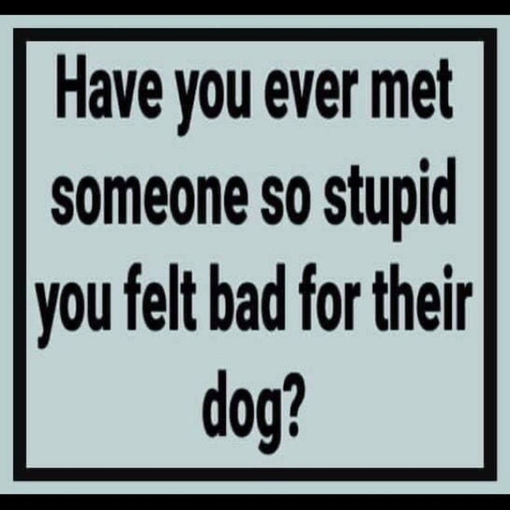 Meet your Posher, Alisha